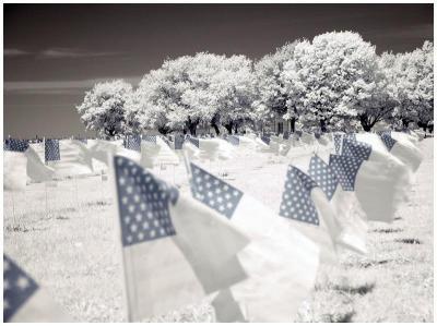 Field Of Flagsby David Cappello