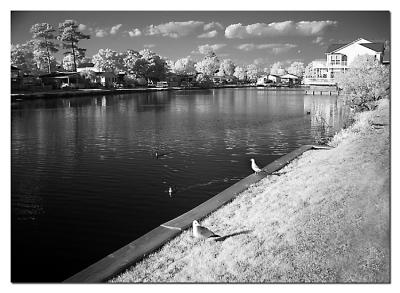 Ocean Lakes IR by Roberta F.