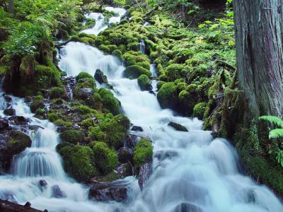 Oregon's Flowing Waters by KHilleg