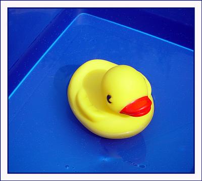 Rubber Ducky, You're the One...by Deb
