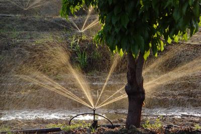Water and Lightby Nee