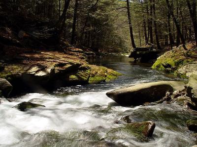 The CreekSundown, NYby Bill Borne