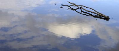 cloudywatercUrVe