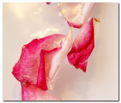 The Remains of LoveLanceD