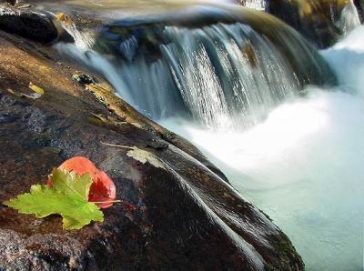 Fall Colors By The RiverLisa Young