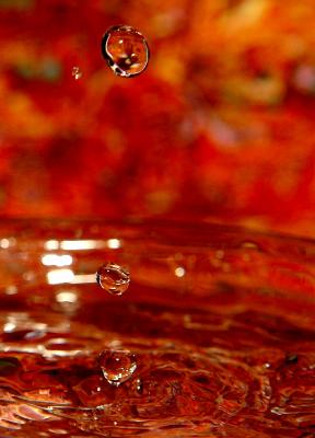 waterdrop, after about 100 tries, by Katherine Kension