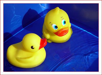 Birds of a Feather(?)by Deb
