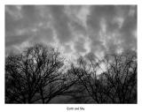 Earth and Sky Fire