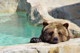 staying cool by Katherine Kenison