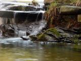 <B>The Creek</B><br>by<br>Bill Borne