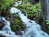 Oregons Flowing Waters by KHilleg