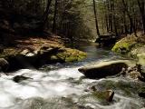 <B>The Creek<br>Sundown, NY</B><br>by<br> Bill Borne