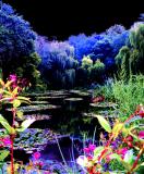 <b>In Search of Monet</b><br><font size = 1>eric