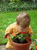 <b>for my Mommy</b> *<br>by Cara Davis Conomos