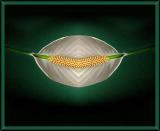 <b>Abstract Flower</b><br><font size=2>by Mark J</font>