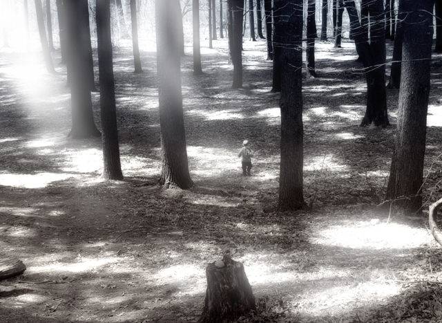 Lost? by Harry Behret