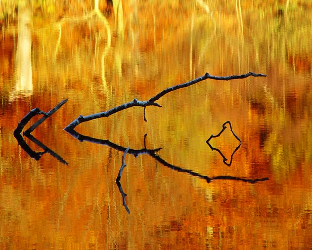 <b>Autumn glow</b><br>by Willem - 3rd Place