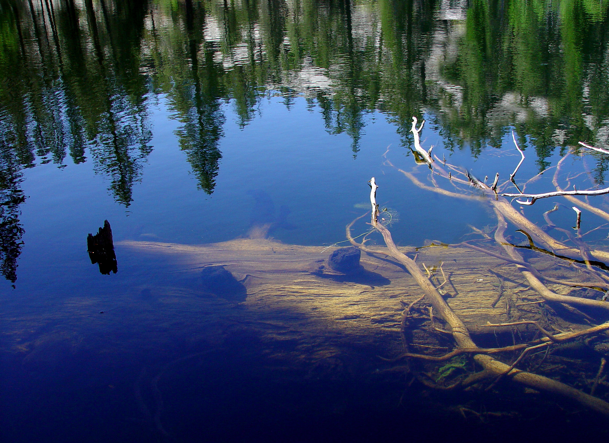 Reflection by Antoine