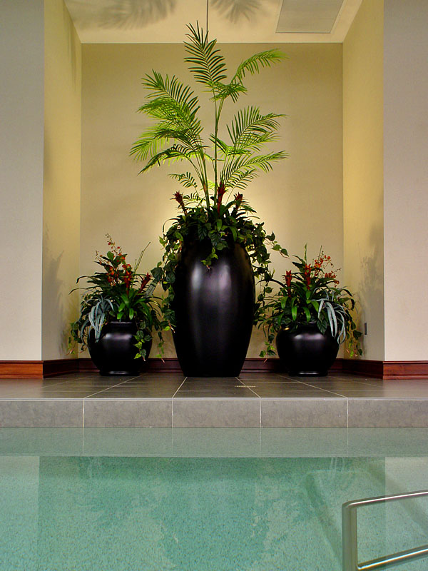 Tranquil Pool - <a href=http://www.shaystephens.com target=_blank>Shay Stephens</a>