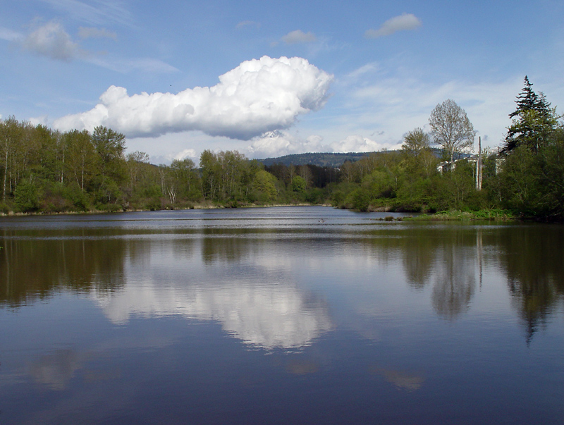 <B>On Sunset Pond</B><BR><Font size=2>by Ann Chaikin</FONT>