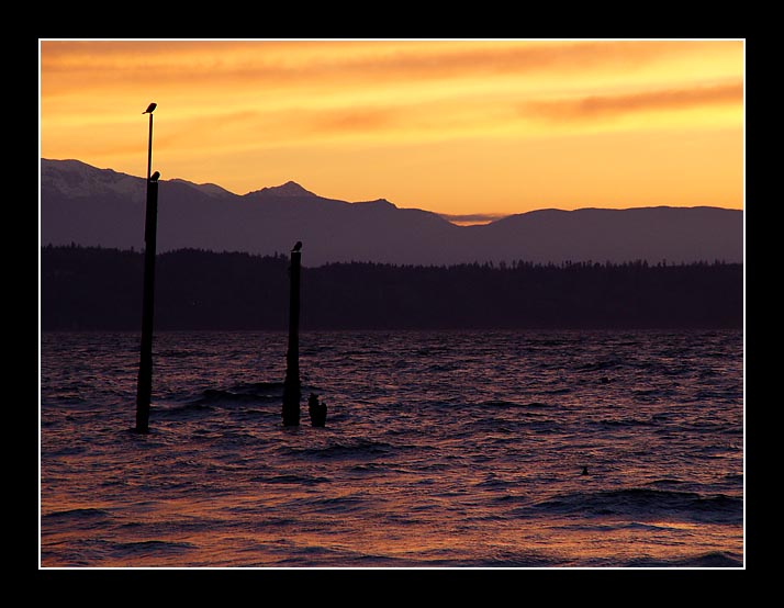 <b>Edmonds Sunset II</b><br><font size=2>by Eric Lamont</font>