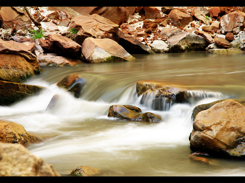 <B>Stream</B> <BR><FONT size=2>by Ori</FONT>