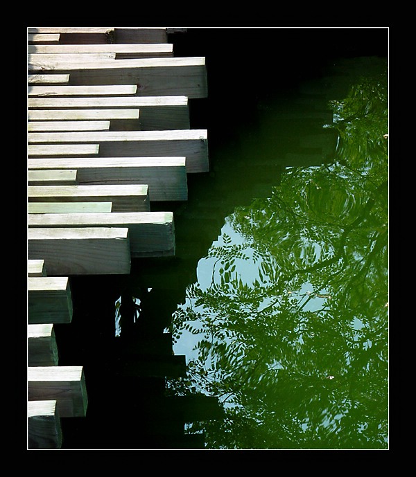 <B><br>Reflected Past</B><br> by MFC