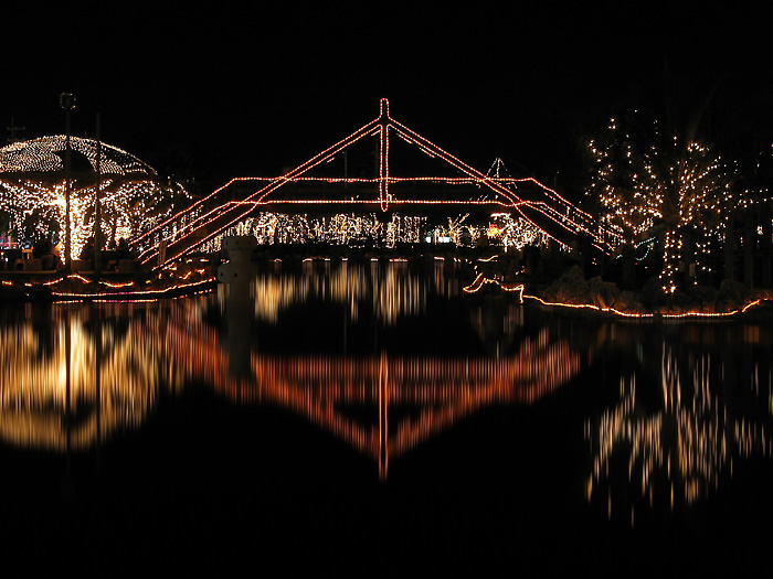 <p align=center> <b> Peace Lights </b> <br> <font size=1> by Helen Betts </font> </p>