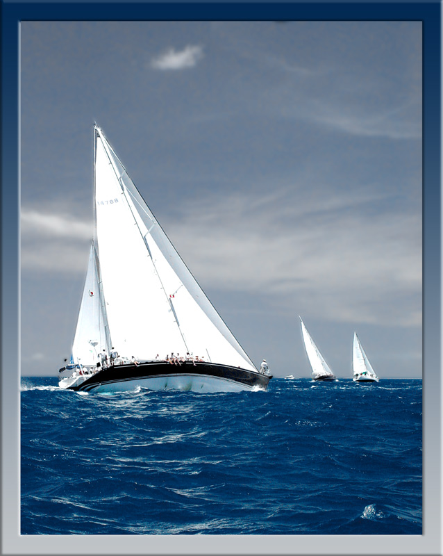 <B>Yatch Race, Antigua Sailing Week</B> <br> by TarikB - 3rd Place