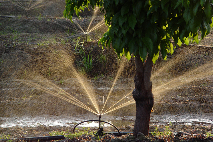<b>Water and Light</b><br><font size = 2>by Nee</font>