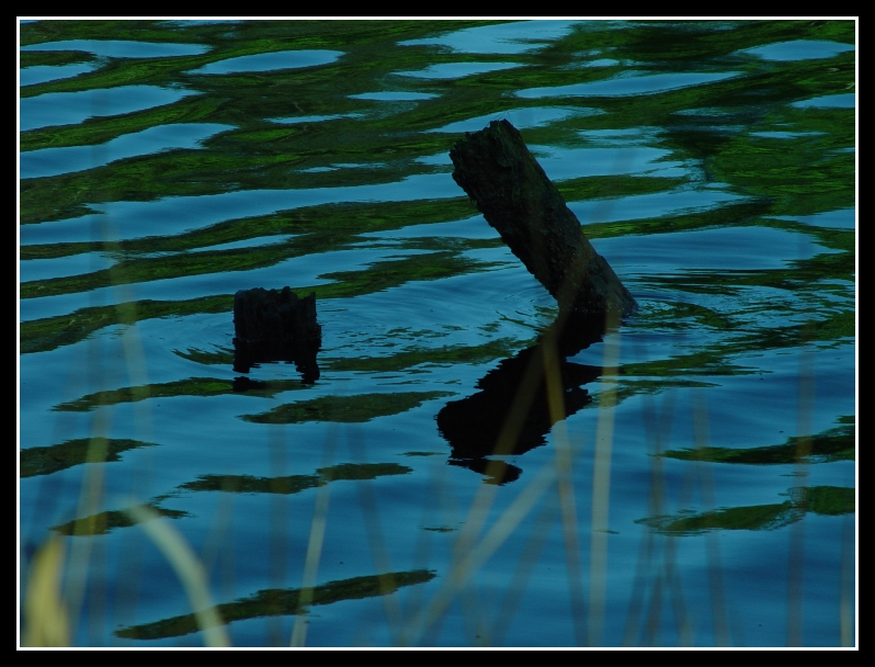 <br>Stumps</br> <br>by JB707</br>