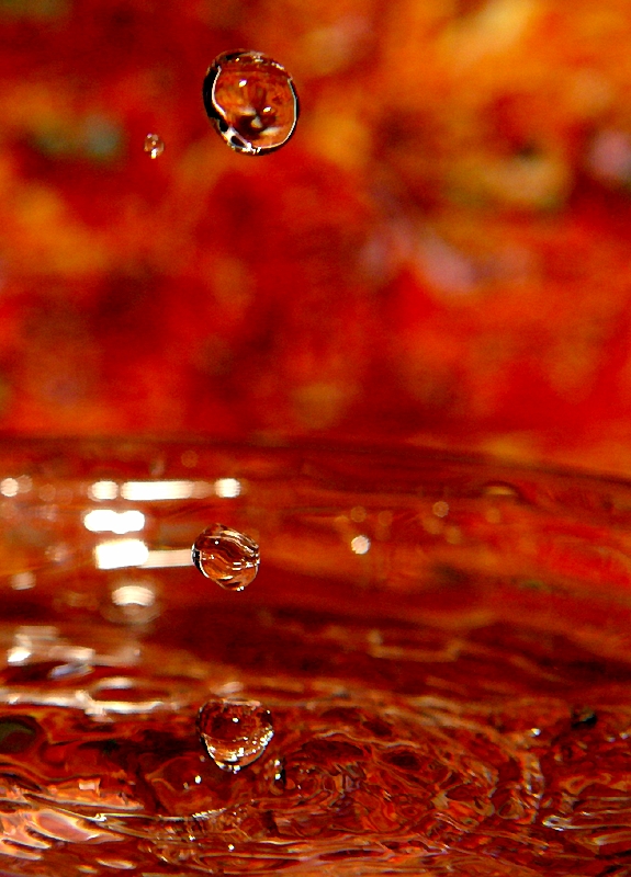 waterdrop, after about 100 tries, by Katherine Kension
