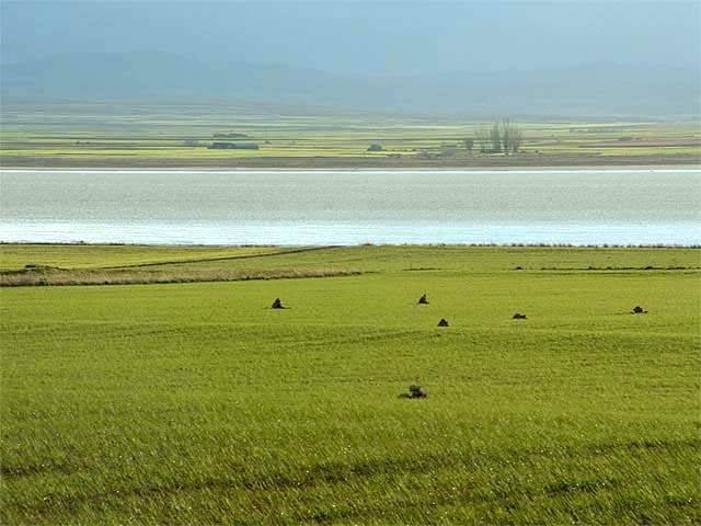 Campo en invierno *  by Doris Baillet