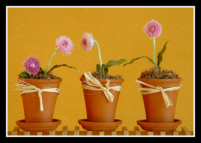 <b>couple  ... and the others</b><br><font size=1>by bezucho</font>
