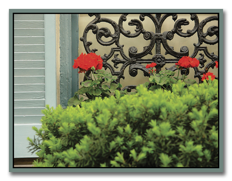 <b>Red Geraniums</b><br><font size=2>by Hamili</font>