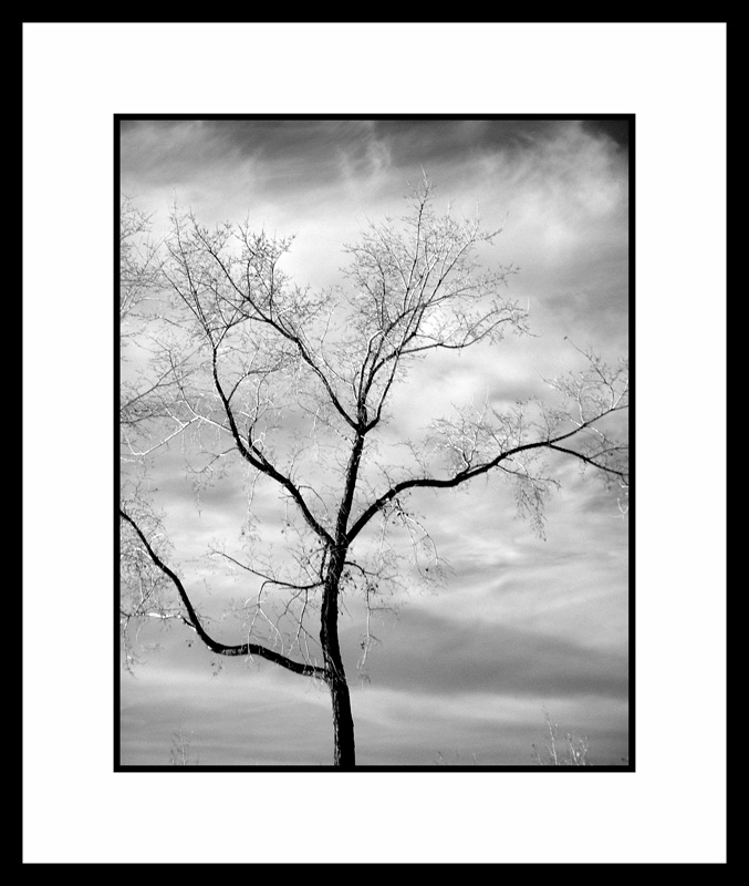 Winter by Saf1