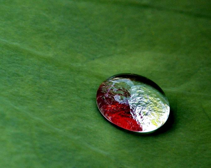 <b>Just a drop...*</b><br><c>--Boris Sidis</c>