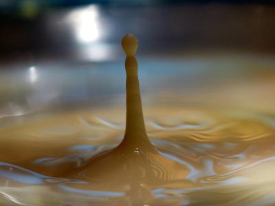 lait