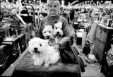 Lady at Dog Show