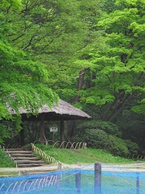CRW_6090.jpg