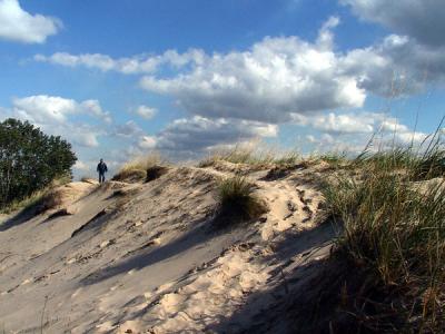 October Dunes