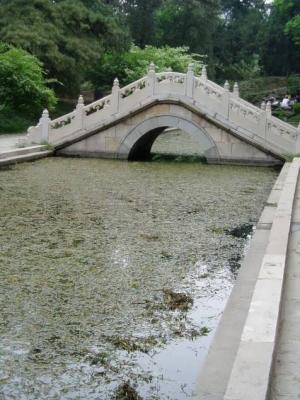 Bridge over a pond.