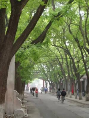 Guo Zi Jian Street, where the Imperial College and Confucian Temple can be found.