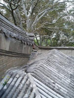 Roof of a tiny imperial compound. There are quite a few of these on Jade Islet.