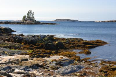 The coastline along Rt. 96 near Ocean Point in East Boothbay Harbor in Maine.