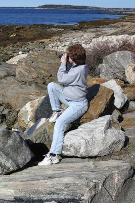 Charlotte looking for an alleged seal she thought she had seen off the coast of Ocean Point in East Boothbay, Maine.