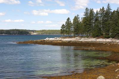 Coastline along Ocean Point in East Boothbay, Maine.