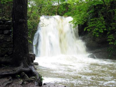 Janets Foss