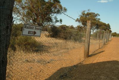 The rabit proof fence