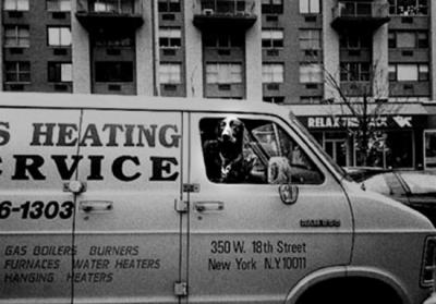 u27/vincebelford/medium/15943629.BROADWAYDOGGIENYC1997.jpg